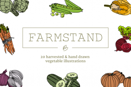 Vegetable Illustrations 1