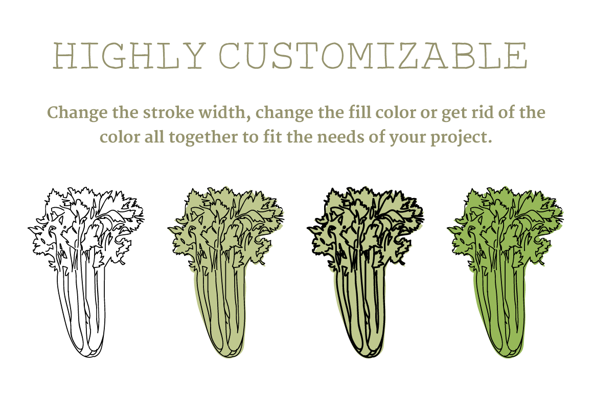 Vegetable Illustrations 2