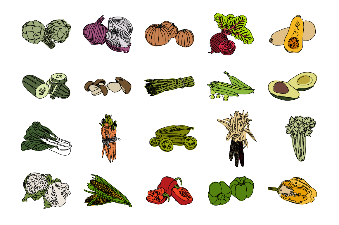 Vegetable Illustrations 3