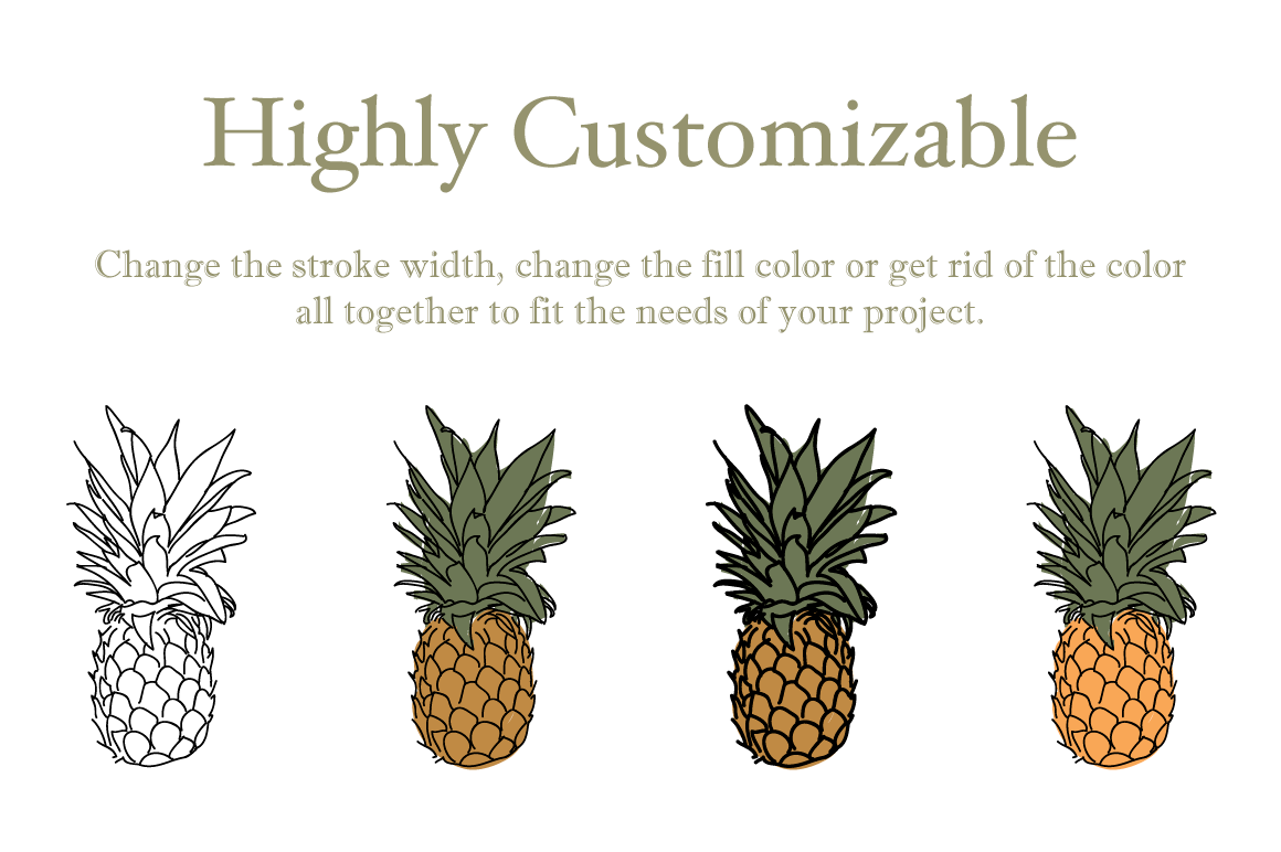 Fruit Illustrations 2