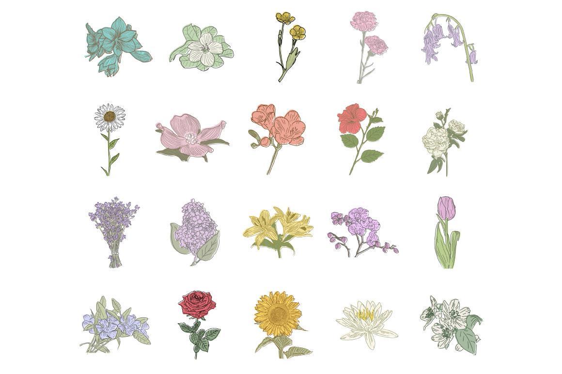 Hand Drawn Flowers 2