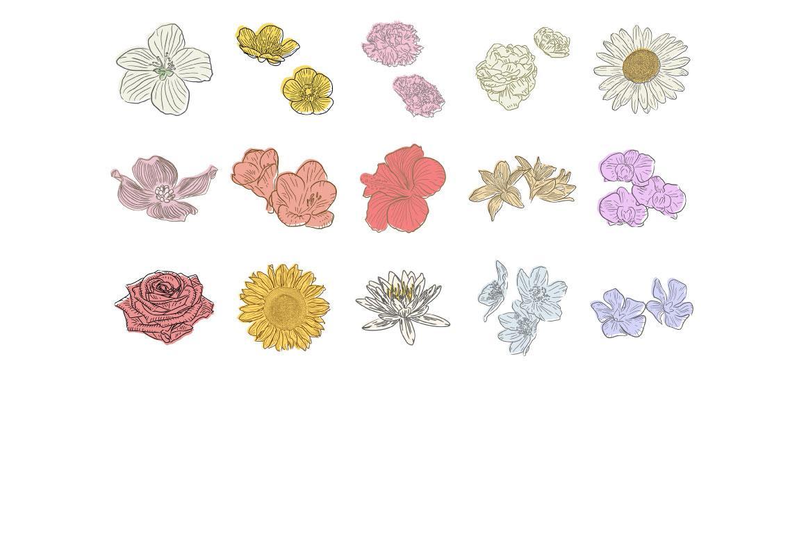 Hand Drawn Flowers 3