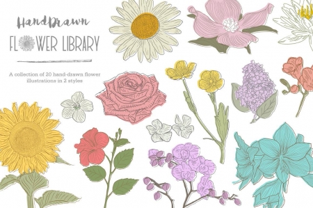Hand Drawn Flowers
