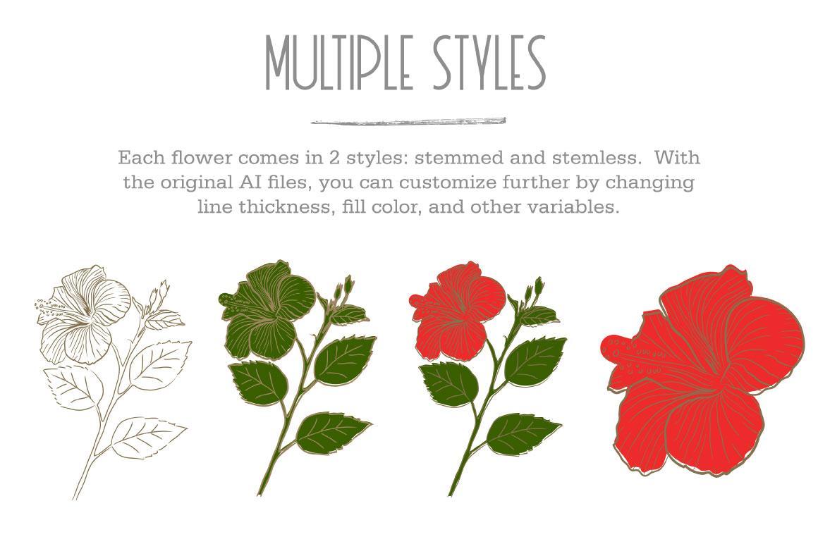 Hand Drawn Flowers 4
