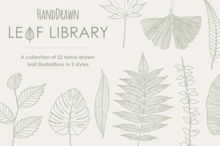 Hand Drawn Leaf Library 8