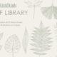 Hand Drawn Leaf Library 8