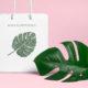Shopping bag using Monstera leaf illustration