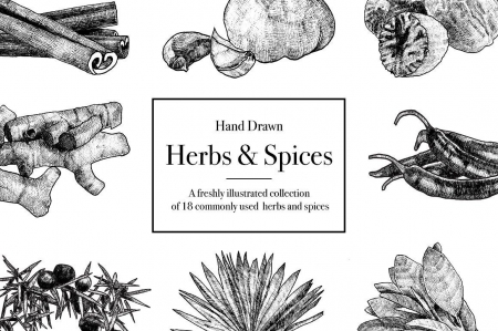 Hand Drawn Herbs and Spices