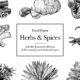 Hand Drawn Herbs and Spices