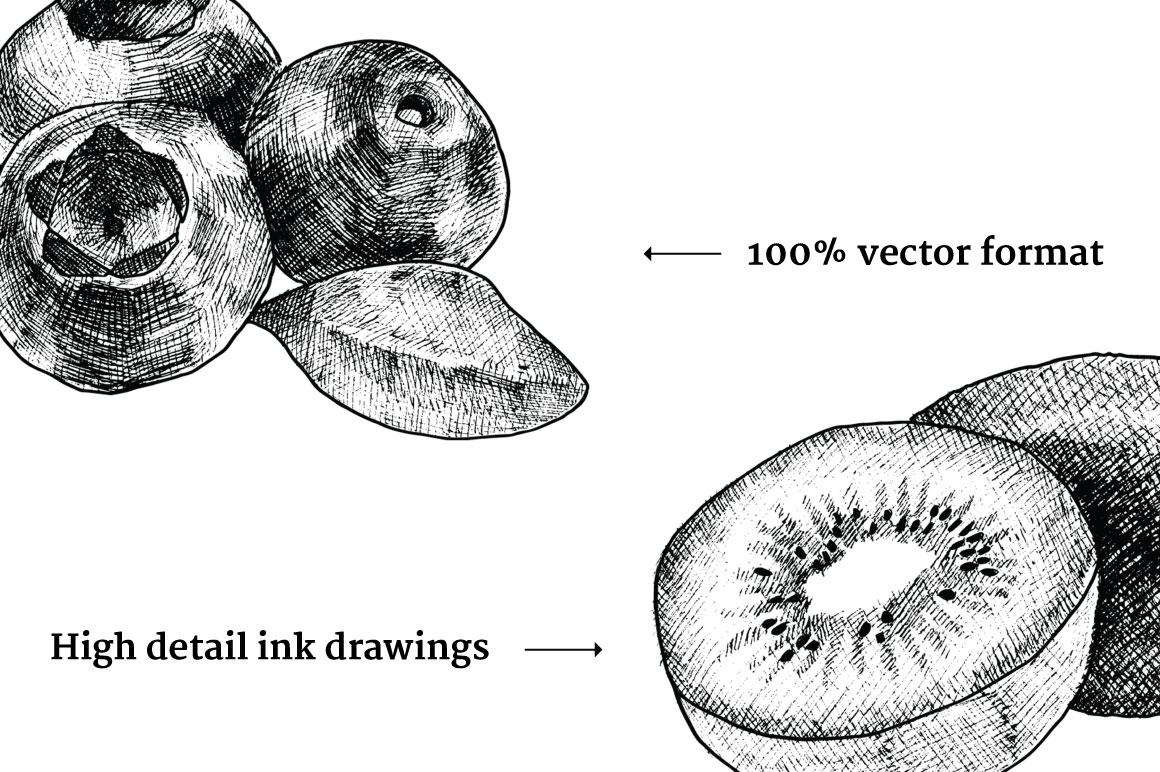 Hand Drawn Vintage Fruit Detail