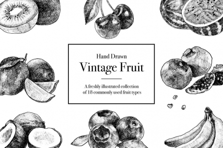 Hand Drawn Vintage Fruit Illustrations