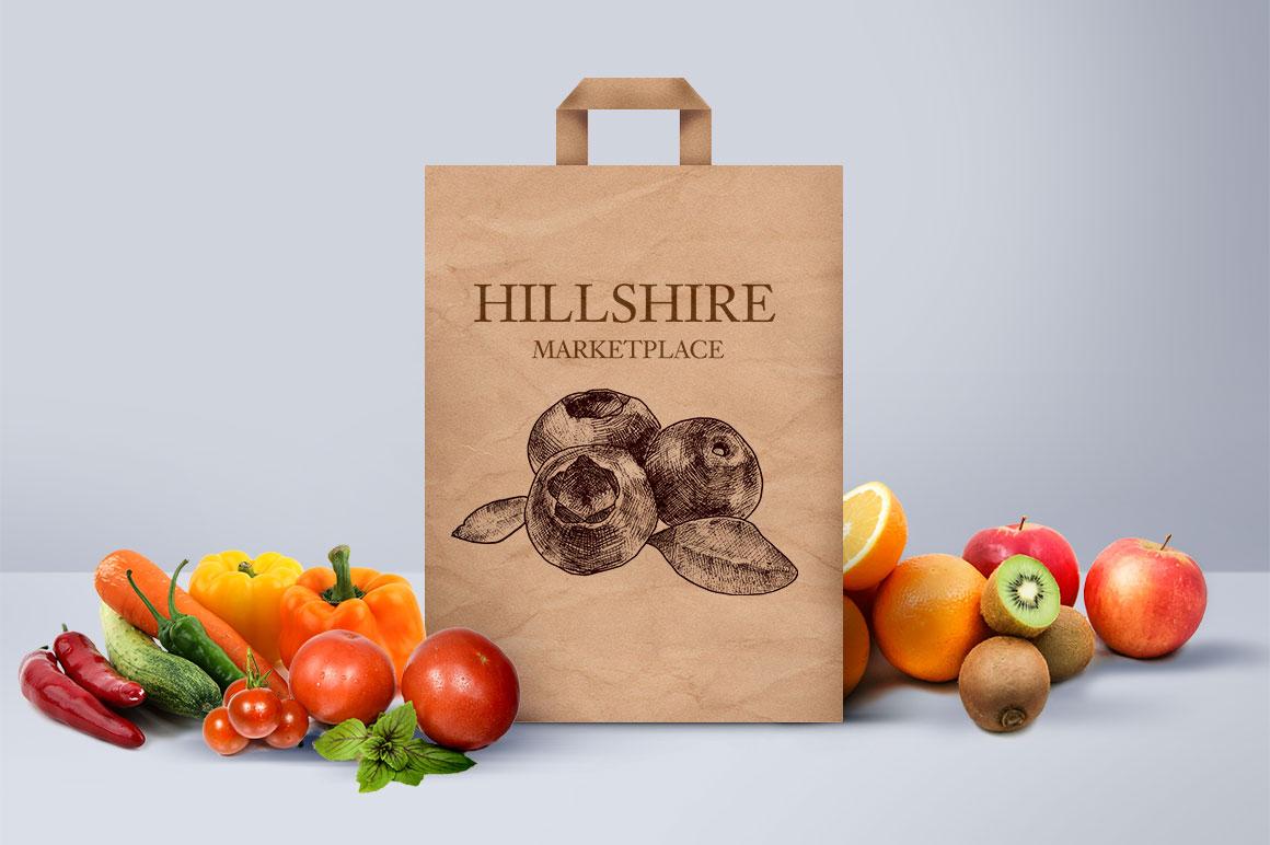 Paper grocery bag using blueberry illustration