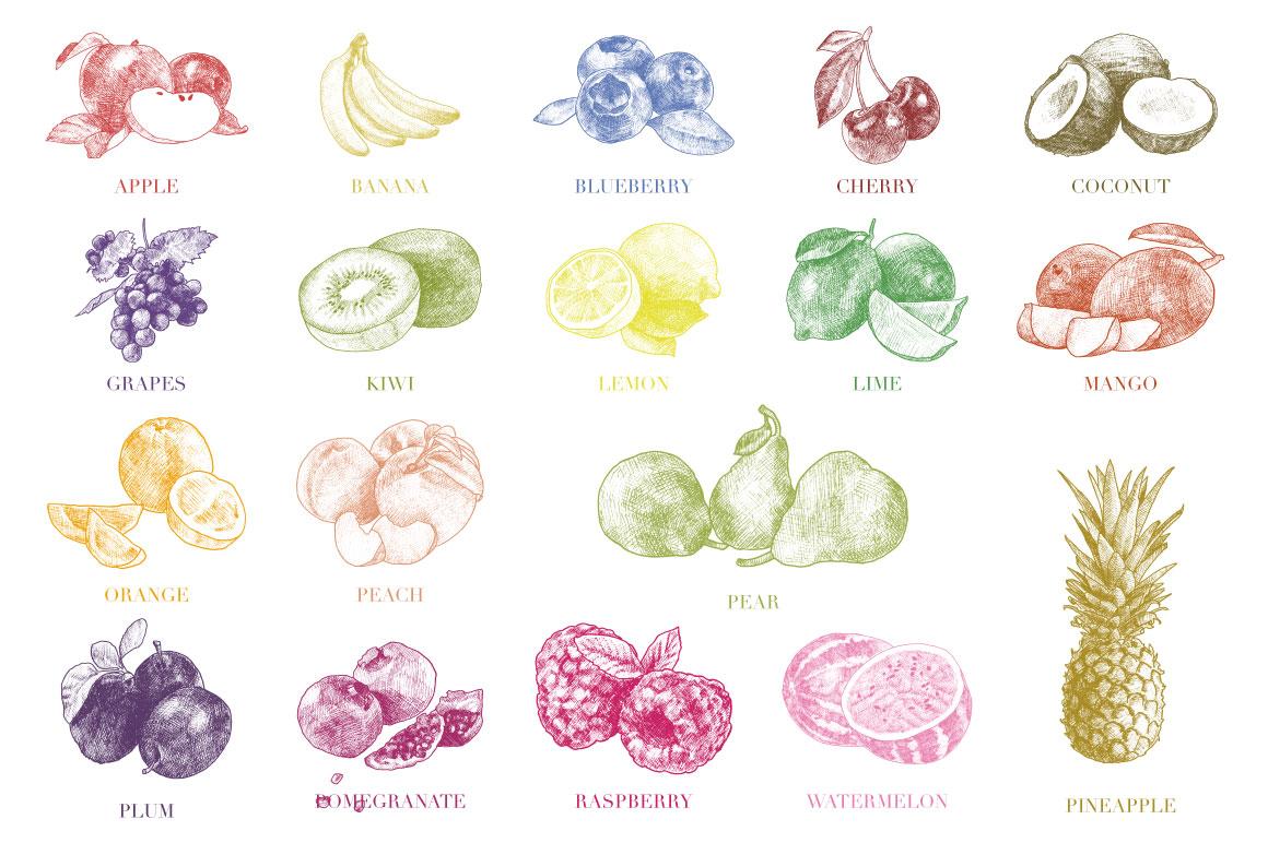 Hand Drawn Vintage Fruit Illustrations Set