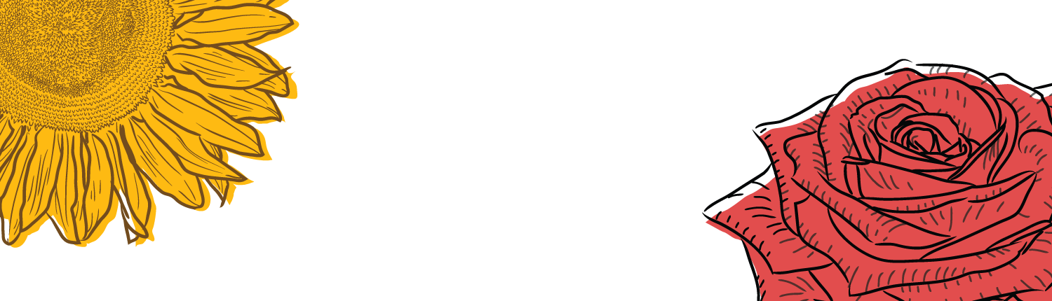 Homepage Slider 3